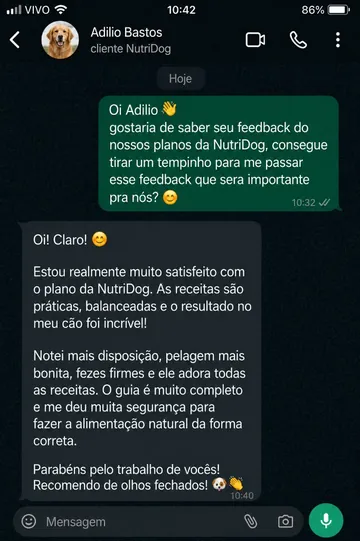 Depoimento de Adilio Bastos no WhatsApp