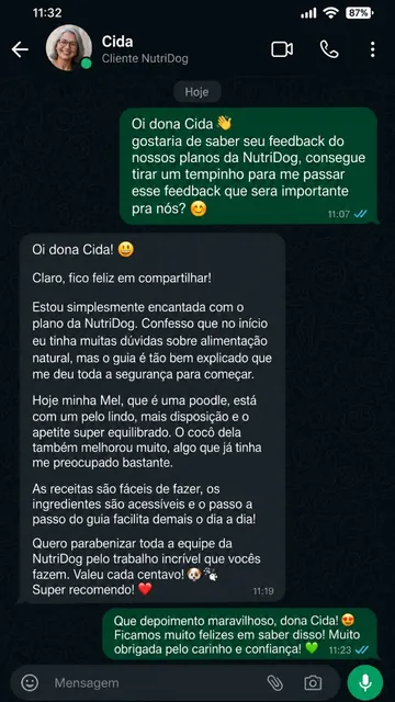 Depoimento de Cida no WhatsApp