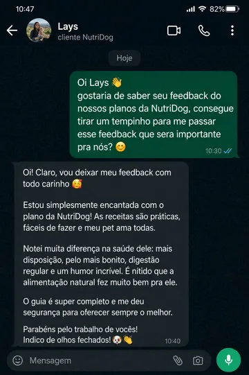 Depoimento de Lays no WhatsApp