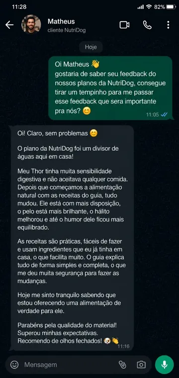 Depoimento de Matheus no WhatsApp